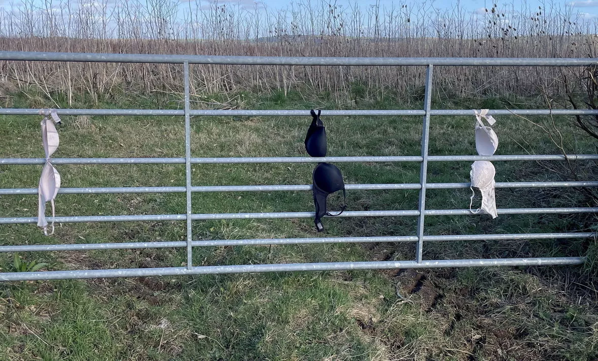 Farmer in Cornwall bemused at bras being left tied to gates on country lanes