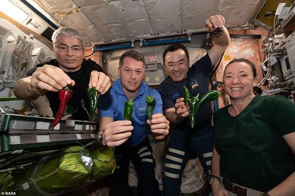 NASA reveals this year's best scientific experiments on the ​ISS