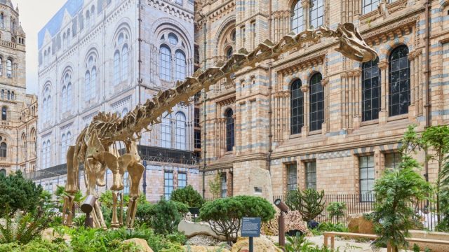 The best museums and galleries in the UK - which don't cost a penny