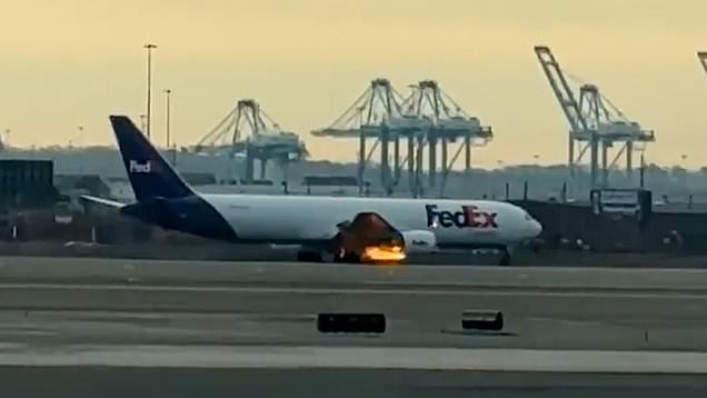 Plane bursts into flames midair before making emergency landing