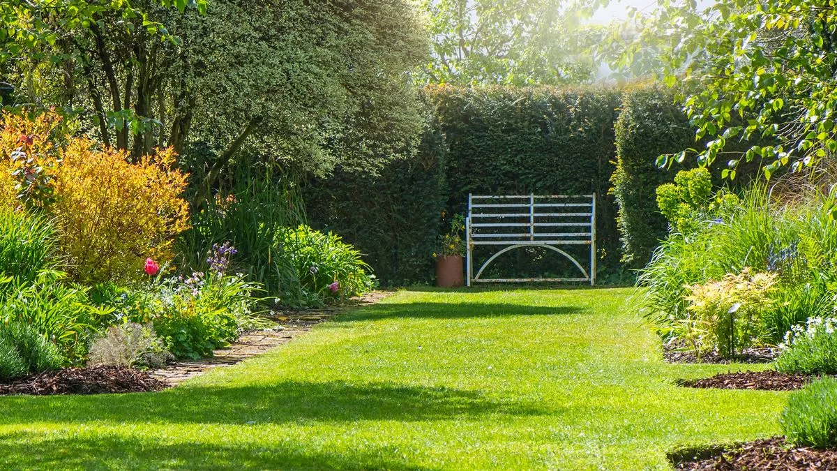 Gardeners warned to 'never' use common item on their lawn this spring