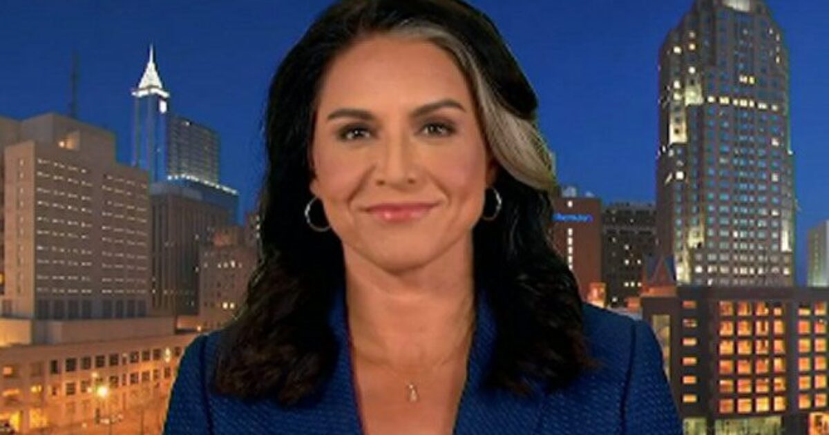 NEW: Tulsi Gabbard to Fire Transgender Extremists and Sexual Deviants Who Participated in NSA's Secret Sex Kink Chatrooms