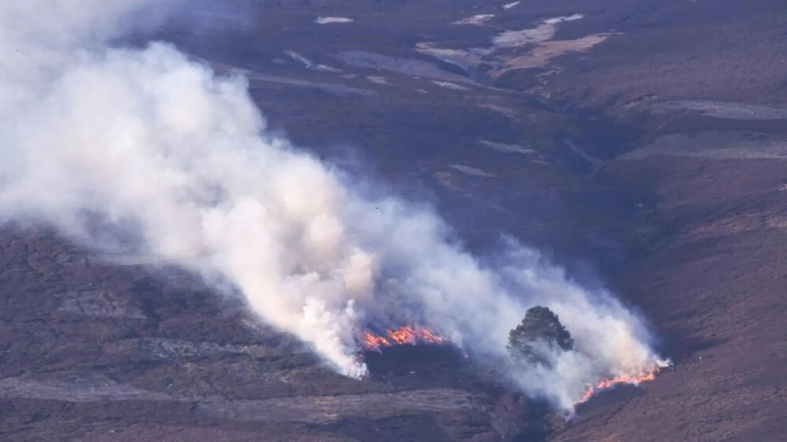 Risk of wildfires 'very high' in north and east Scotland