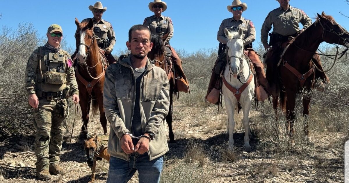 Texas DPS Mounted Patrol and K-9 Unit Catches Illegal Alien on Ranchlands After Miles of Tracking