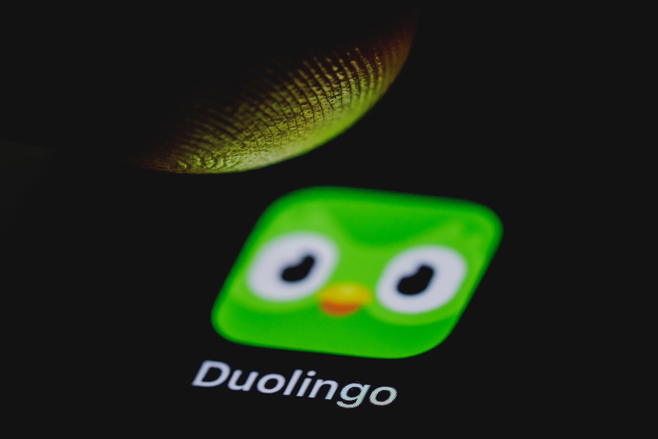 The Duolingo Owl’s Last Will and Testament