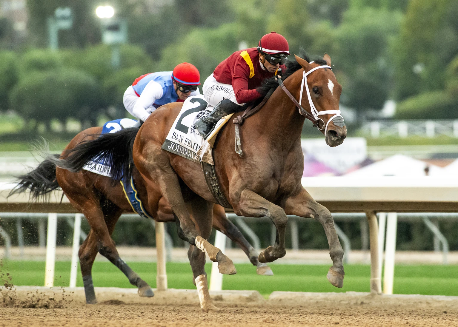 Journalism beats odds-on favorite Barnes to win San Felipe on road to Kentucky Derby