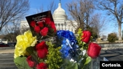 Colombia boosts diplomacy by sending flowers to US Congress