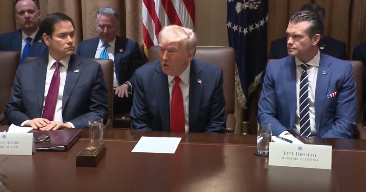 Elon Musk Attends Trump's First Cabinet Meeting - Here Are Some of the Highlights (VIDEO)