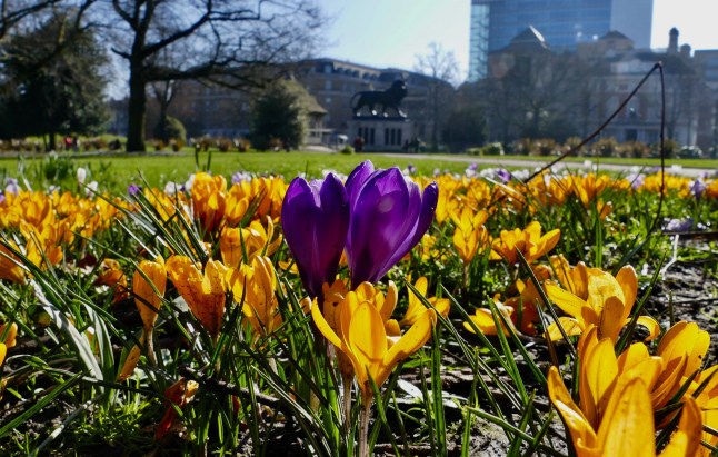 Met Office forecasts sunny start to spring with UK hotter than Spain next week