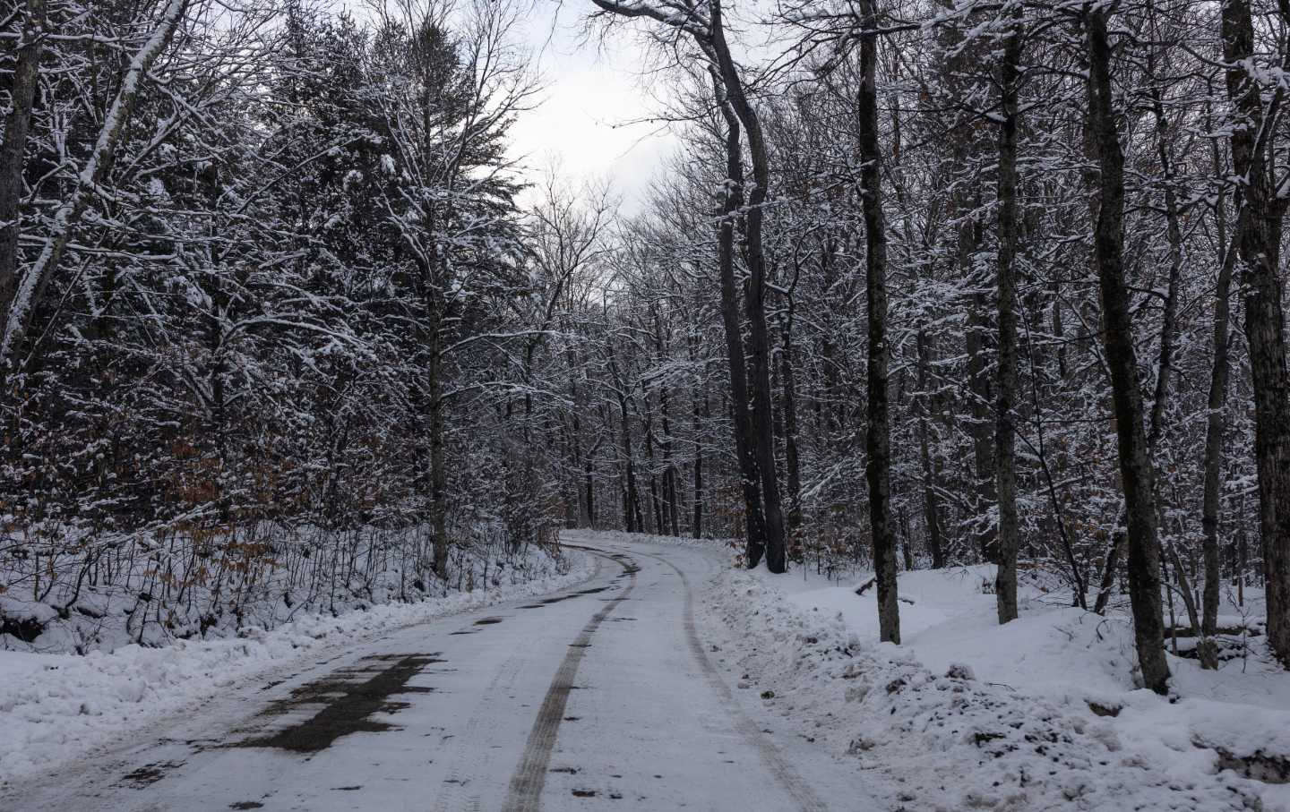 February Storms in a Country That Still Works—for Now