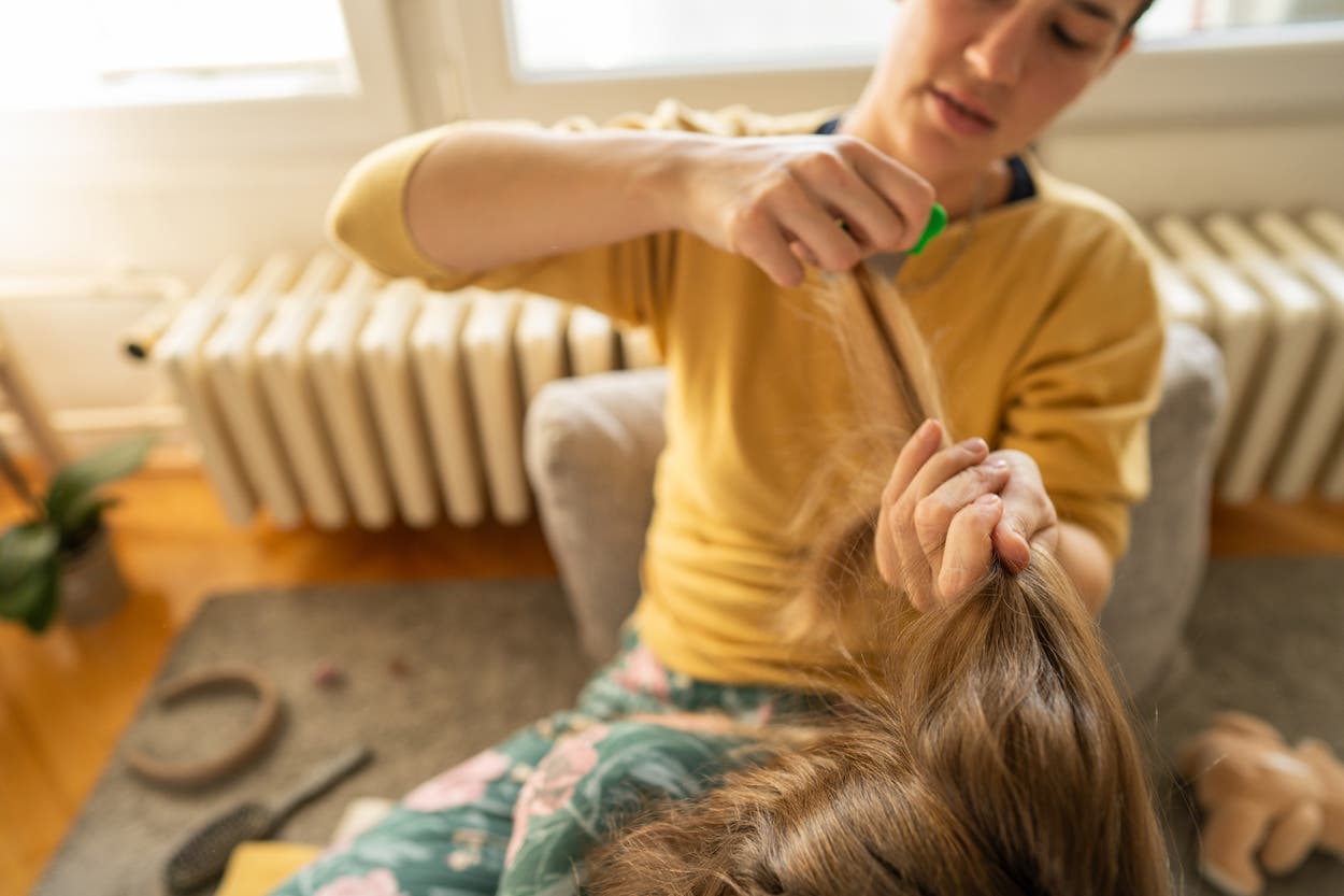 How to check for head lice and break the nit cycle