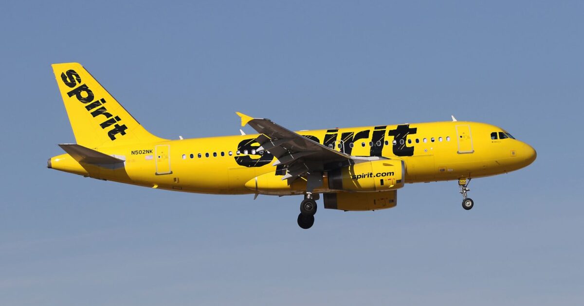 Huge Brawl Breaks Out at Spirit Airlines Boarding Gate at Atlanta Airport (VIDEO)