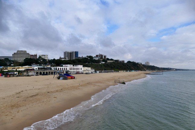 Woman in her 20s 'chased into dead end and sexually assaulted' by popular beach