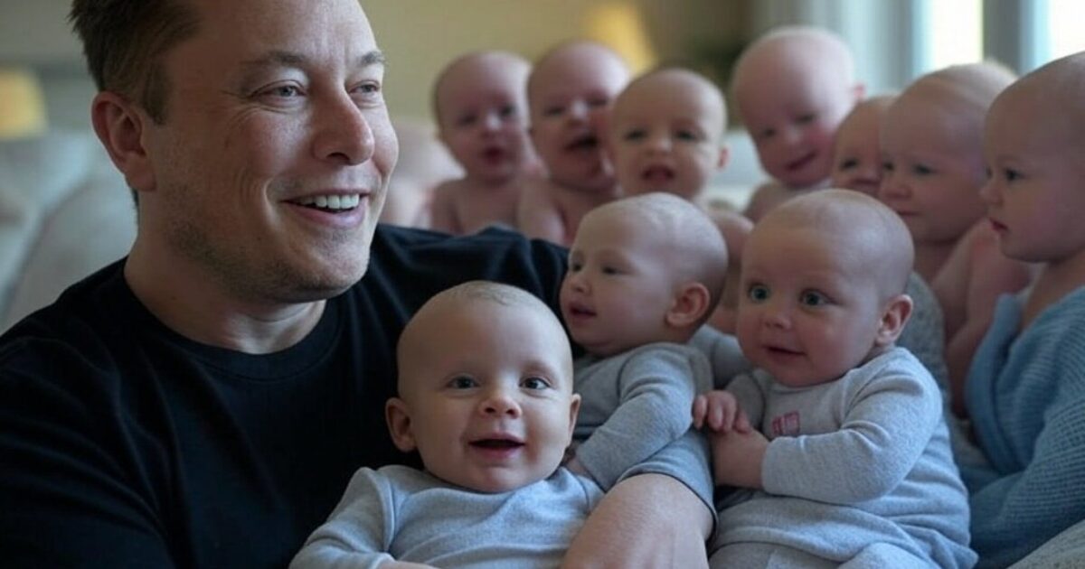 Elon Musk Confirms Birth of His 14th Child — Weeks After Ashley St. Clair Revealed He Had Fathered Her Son