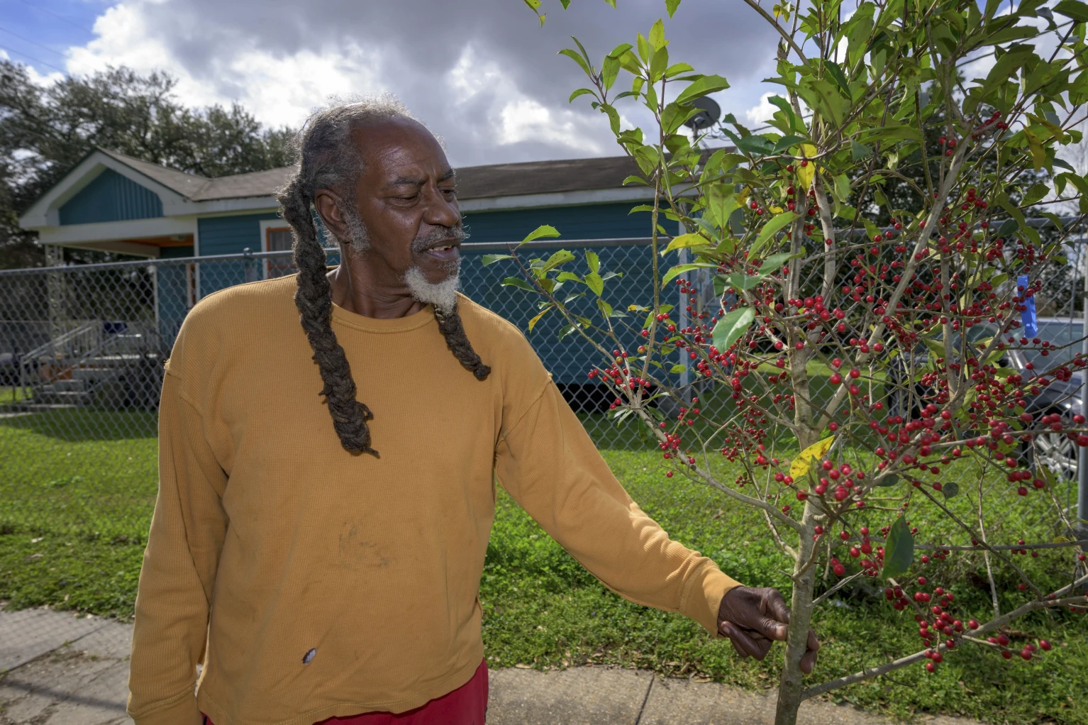 Anti-DEI push ends effort to plant trees in places that need them