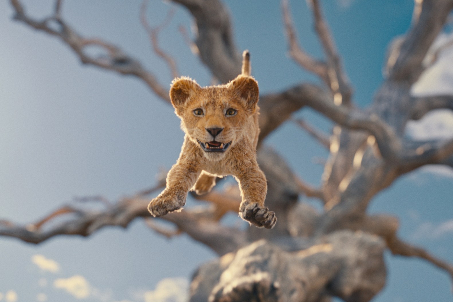 'Mufasa' Streaming: 'The Lion King' Sequel to Drop on VOD and Blu-Ray