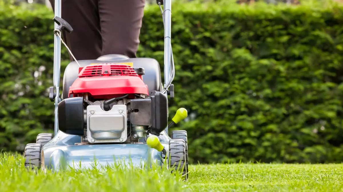 Monty Don's urgent warning to people mowing lawns after March