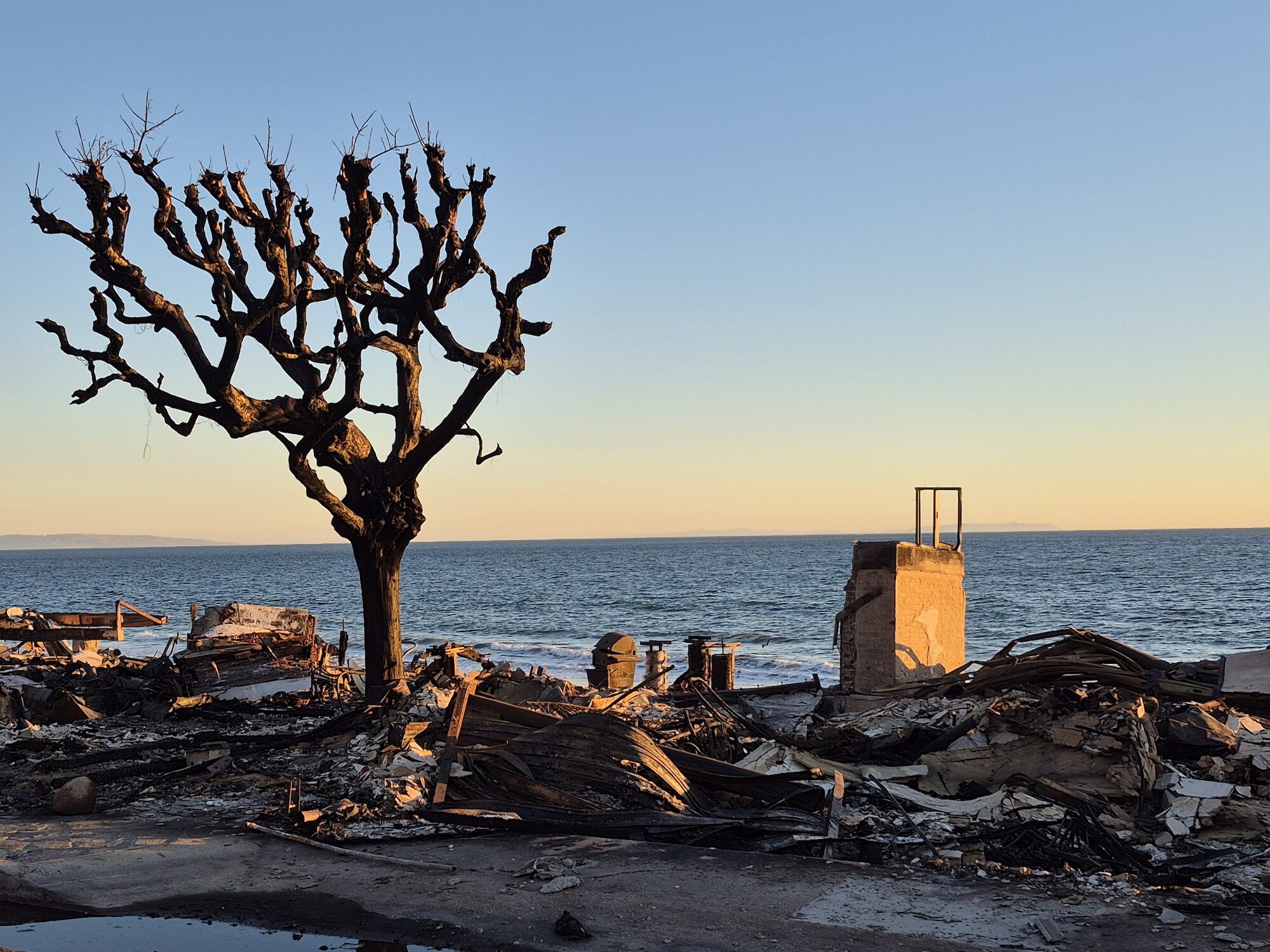 What the Fire Left Behind: Scenes From Los Angeles