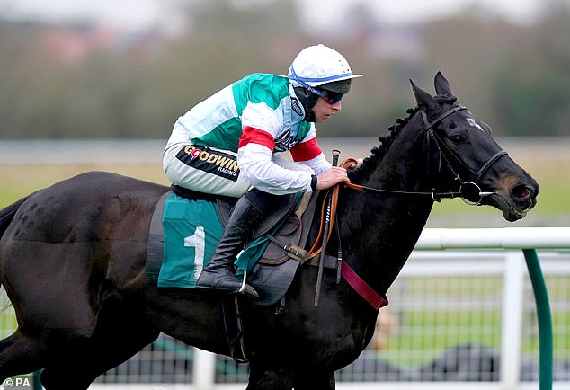 Robin Goodfellow's Racing Tips: Best bets for Saturday, January 1