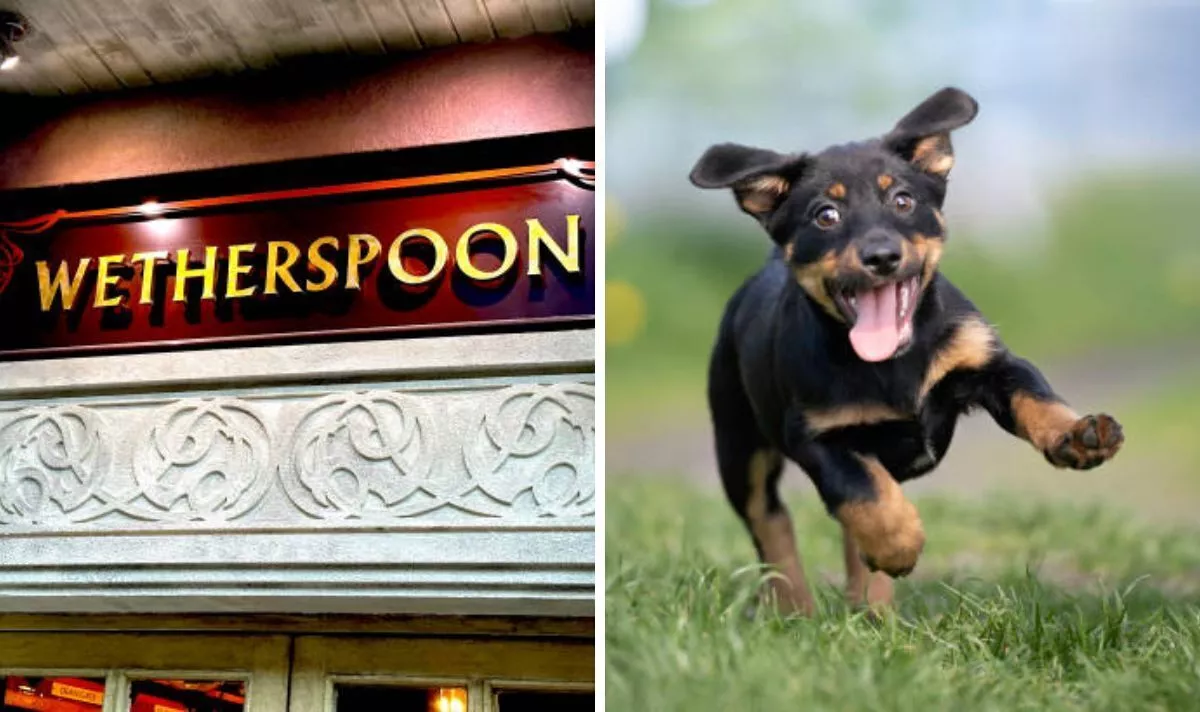 Wetherspoon boss Tim Martin on why dogs and music are banned from his pubs