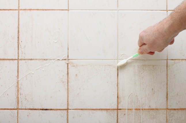 The 'serious' reason not to ignore pink mould in your bathroom