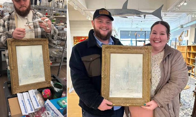 Woman amazed to learn value of painting she bought at charity shop for £2.40