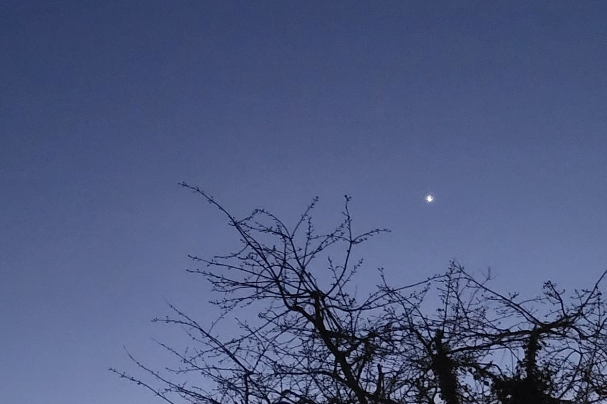 Stargazers treated to rare sight as seven planets align in UK skies