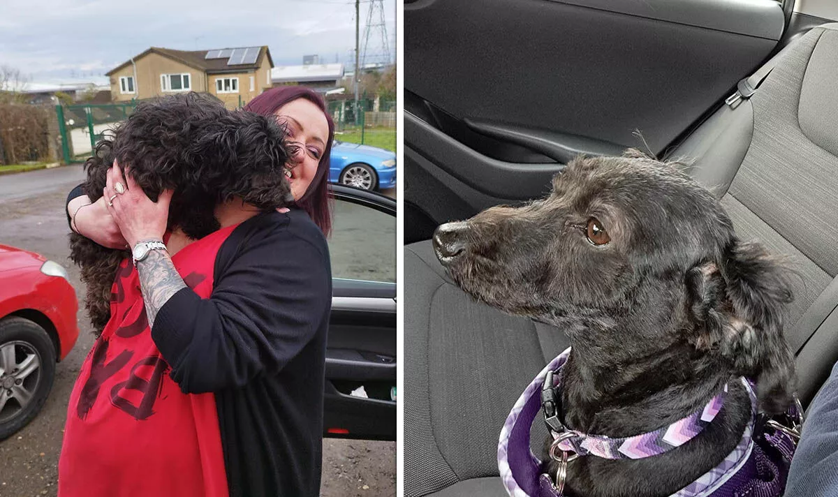 'I was reunited with dog missing for 7 years - her reaction was amazing'