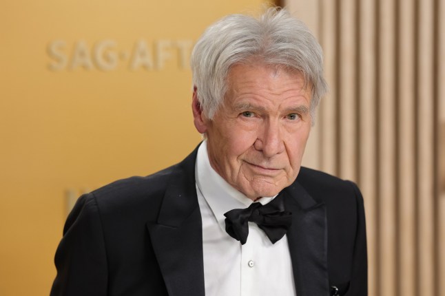 Harrison Ford, 82, suddenly pulls out as Oscars presenter due to serious illness