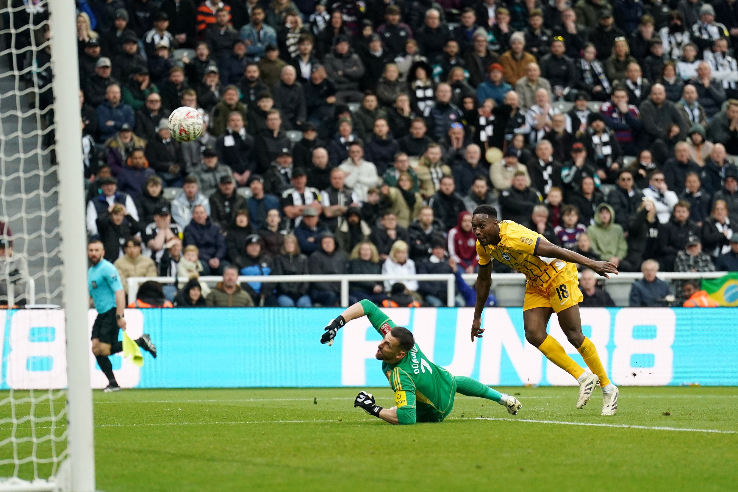 Newcastle 1 Brighton 2: Danny Welbeck scores stunning extra-time winner in FA Cup thriller with TWO stars...