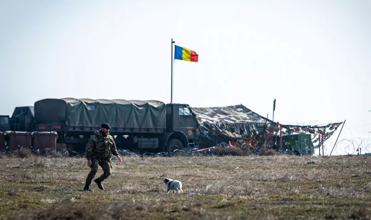 British soldiers deployed for NATO war games rescue puppies abandoned in -10C