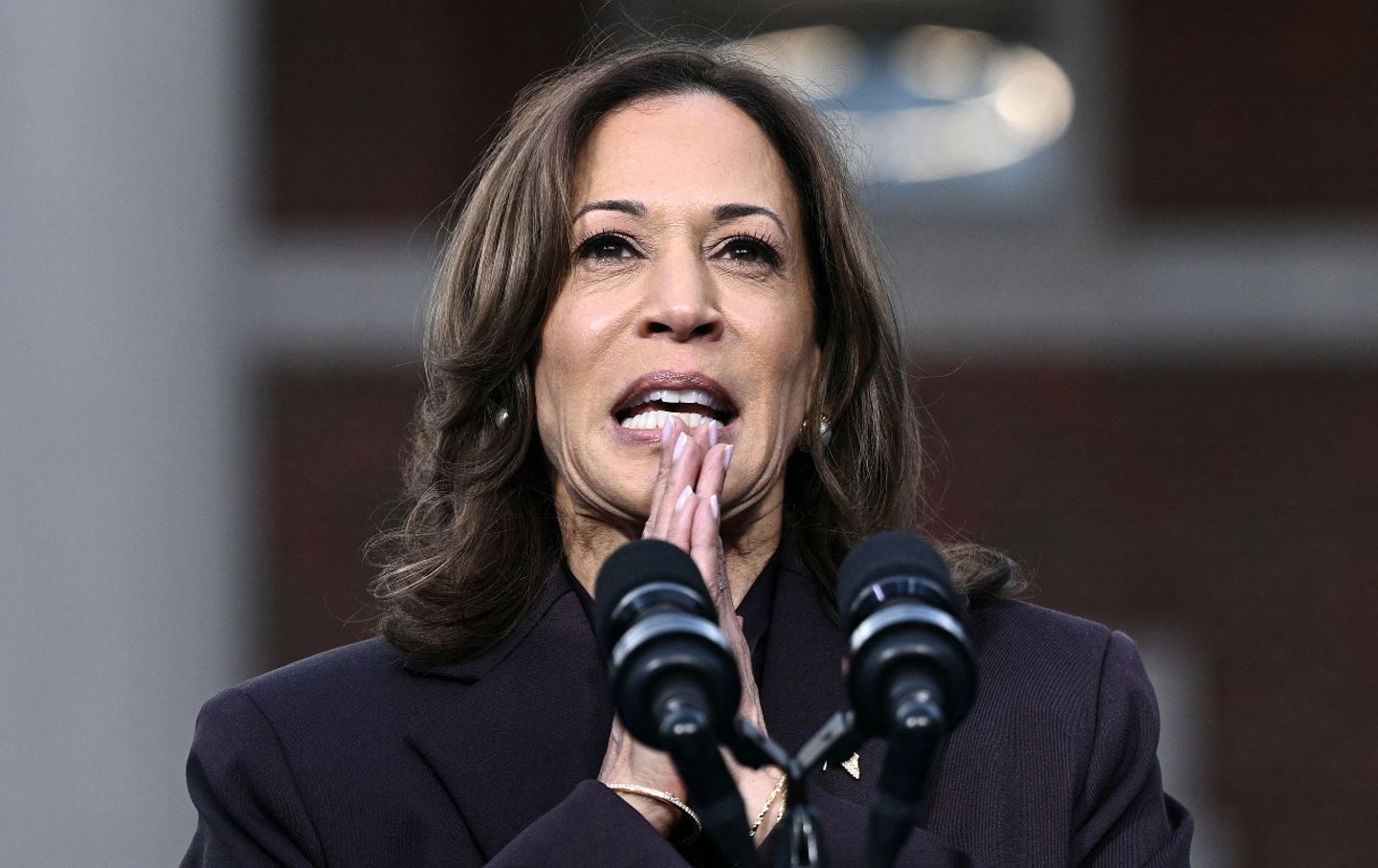 No, Kamala Harris Staffers Did Not Run a “Flawless” Campaign