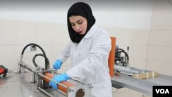 Celebrating women in science: a story from Halabja 