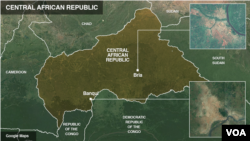 Central African Republic soldiers kidnapped by mercenaries, advocates allege 