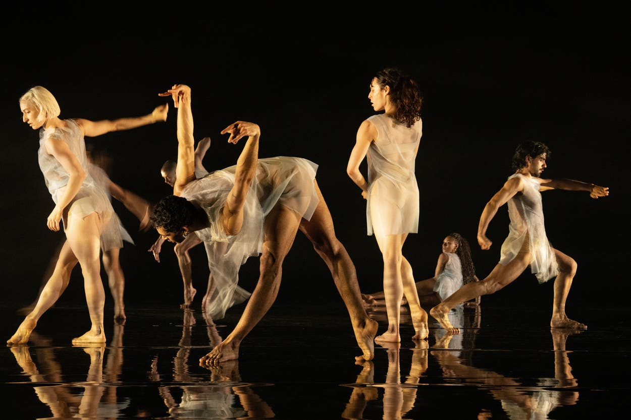 Deepstaria review: Wayne McGregor explores the dark depths of ocean life 