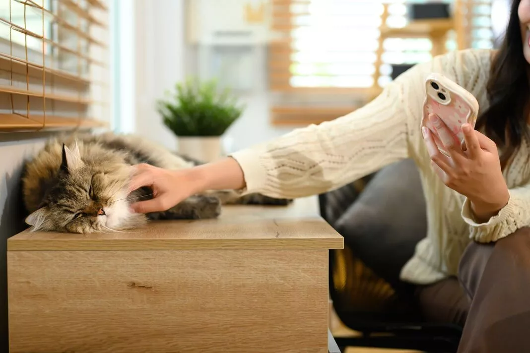 Woman puzzled by cat's odd behaviour - then gets amazing surprise