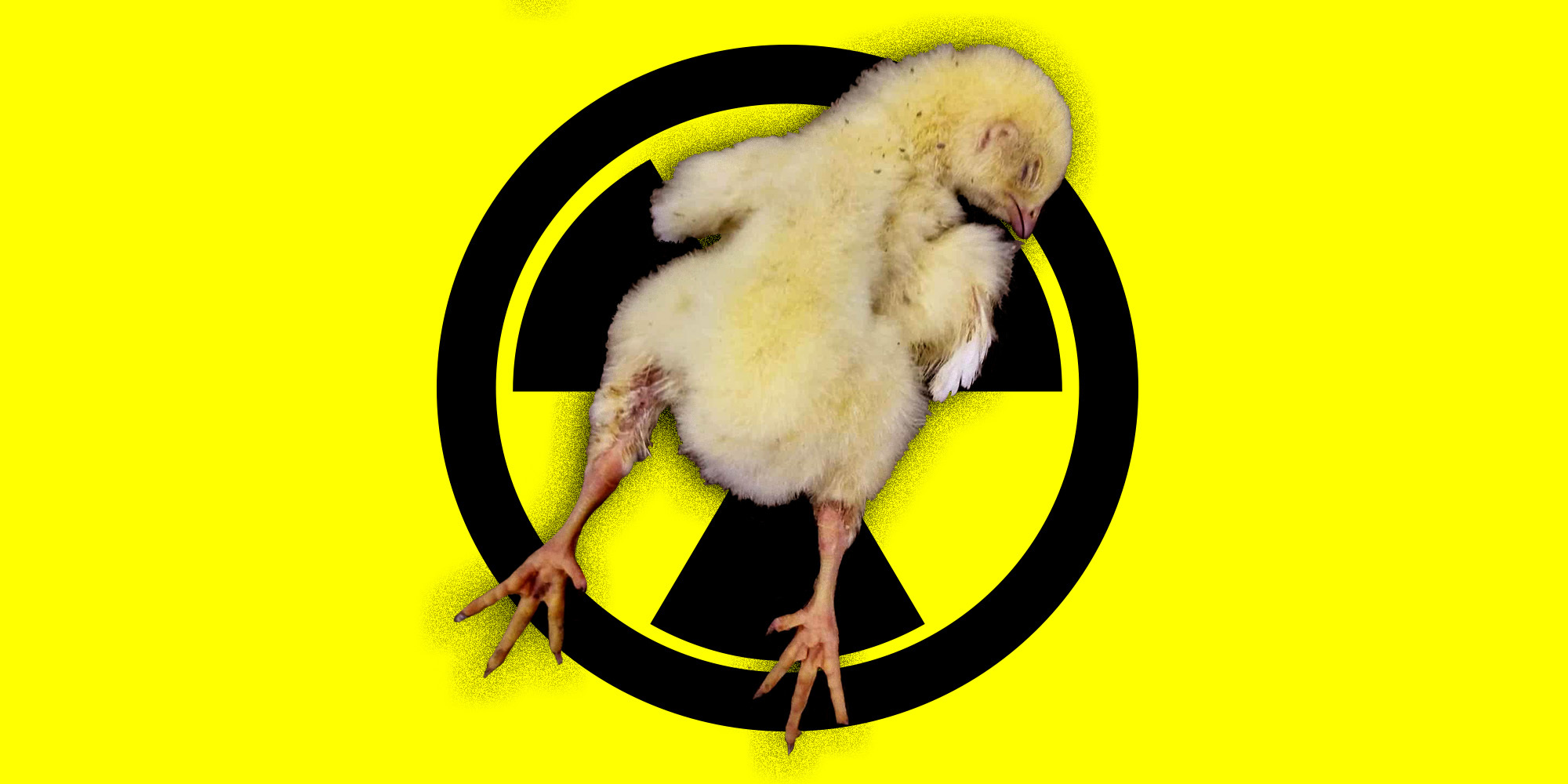 The FBI’s Weapons of Mass Destruction Program Has a New Target: Animal Rights Activists